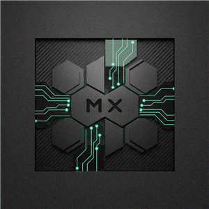 MoneyX
